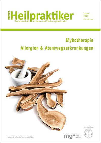 Cover der Zeitschrift "Der Heilpraktiker", Ausgabe Januar 2022. Themen: Mykotherapie, Allergien und Atemwegserkrankungen. Bild zeigt Heilpilze.