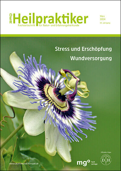 Cover Der Heilpraktiker März 2024 - Themen Stress und Erschöpfung, Wundversorgung, zeigt eine Nahaufnahme einer Passionsblume.